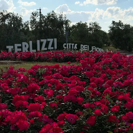 I Cavalieri 테를리치